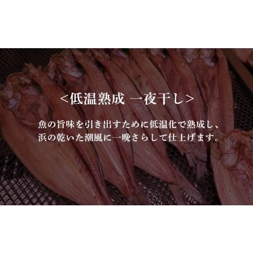 ふるさと納税 干物 ホッケ 北海道 白老町 2ヶ月に1度 定期便 全6回 低温熟成 一夜干し お楽しみ 詰め合わせ_2