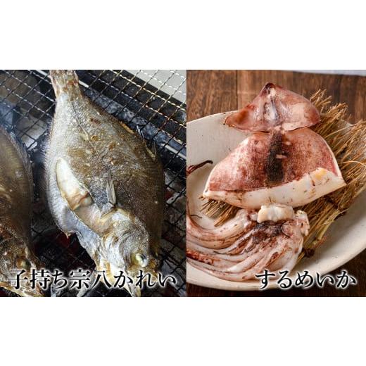 ふるさと納税 干物 ホッケ 北海道 白老町 2ヶ月に1度 定期便 全6回 低温熟成 一夜干し お楽しみ 詰め合わせ_4