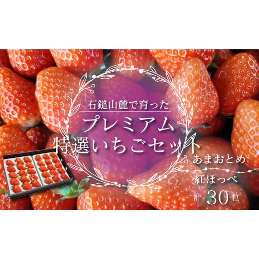 ふるさと納税 いちご 愛媛県 西条市 いちご 石鎚山麓で育った プレミアム 特選いちごセット あまおとめ&紅ほっぺ 30粒入 2025年12月中旬〜2026年3月頃発送 |…