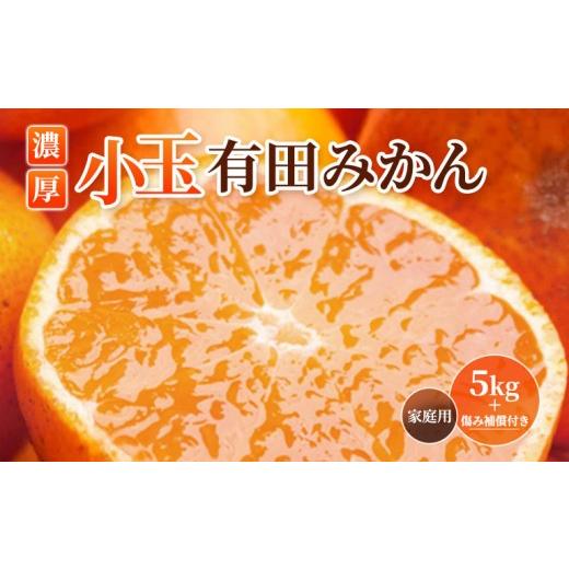 ふるさと納税 果物類 みかん 和歌山県 印南町 [先行予約]家庭用 小さな有田みかん5kg+250g(傷み補償分)[2026年10月初旬から2027年1月末日頃順次発送予定…