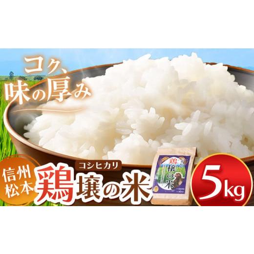 ふるさと納税 長野県 松本市 鶏穣(けいじょう)の米 5kg | 米 コシヒカリ 鶏穣の米 信州 松本産 長野県 信州米 こめ 白米 おこめ ごはん 銘柄米 単一米 信州…