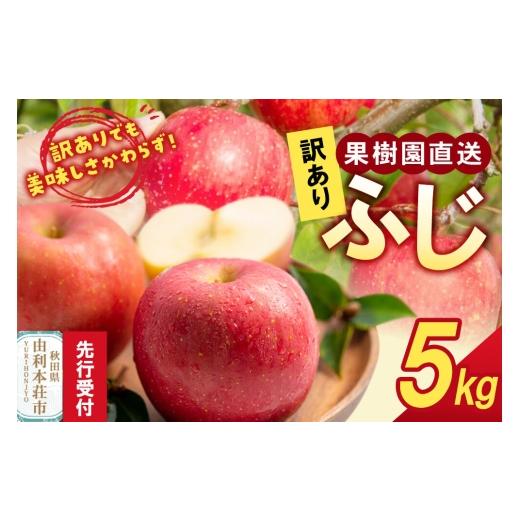 ふるさと納税 りんご 秋田県 由利本荘市 [先行受付] 訳あり 秋田の果樹園直送りんご(ふじ) 5kg (11月中旬〜発送) りんご リンゴ 林檎 果物 フルーツ 農…
