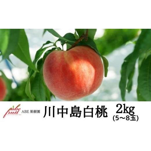 ふるさと納税 福島県 福島市 No.2300[先行予約]株式会社ABEFruit 桃 川中島白桃2kg[2024年発送]