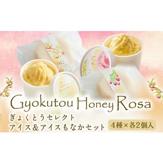 ふるさと納税 菓子 アイス 熊本県 玉東町 ぎょくとうセレクト アイス&アイスもなかセット(4種×各2個入) [60日以内に出荷予定(土日祝除く)] 熊本県玉名郡玉…