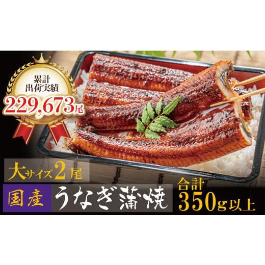 ふるさと納税 うなぎ 福岡県 福智町 W61-71 国産うなぎ蒲焼大サイズ2尾 <計330g以上> 鰻蒲焼用タレ・山椒付 うなぎ生産量日本一鹿児島県産 宮崎県産 熊…