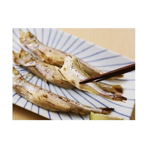 ふるさと納税 魚貝類 ししゃも 北海道 広尾町 岡嶋のししゃも食べきりセット(C0002)