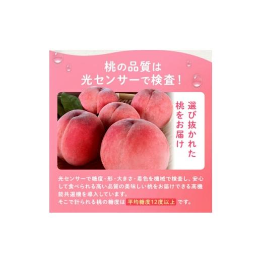 ふるさと納税 もも 山梨県 山梨市 2026年発送 桃 約2kg 5〜8玉 朝もぎ直送 旬の完熟『桃』選び抜かれた桃 1359013の画像