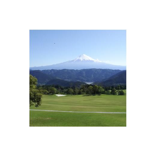 ふるさと納税 山梨県 南部町 富士ロイヤルカントリークラブの特別優待ご利用券　5，000円分×2枚【1356758】 その他クーポン券 O1506661246(14960円)