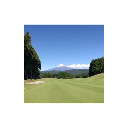 ふるさと納税 山梨県 南部町 富士ロイヤルカントリークラブの特別優待ご利用券　5，000円分×2枚【1356758】 その他クーポン券 O1506661246(14960円)