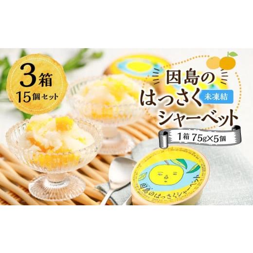 ふるさと納税 アイス・ヨーグルト シャーベット 広島県 尾道市 因島のはっさくシャーベット(未凍結)(75g×5個)3箱 15個セット 八朔 柑橘 みかん ゼリー シ…