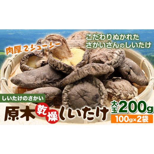 ふるさと納税 乾物 干ししいたけ 熊本県 産山村 しいたけ 阿蘇 原木乾燥しいたけ 大玉 200g[30日以内に出荷予定(土日祝除く)]原木 干し 乾燥 しいたけ 原木…