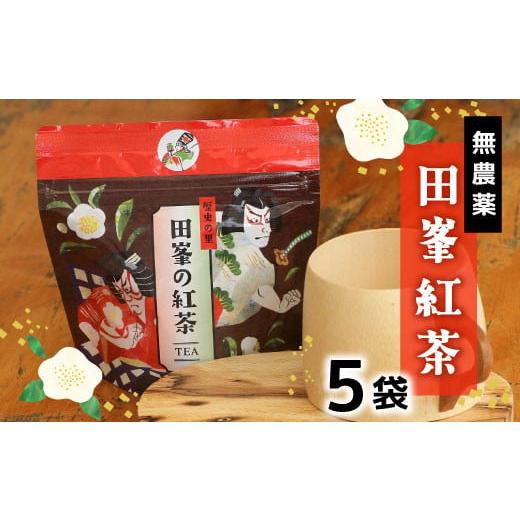 ふるさと納税 紅茶 茶葉・ティーバッグ 愛知県 設楽町 無農薬 田峯紅茶 5袋セット 紅茶 お茶 アイスティー ホットティー 茶 -022_1