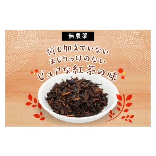 ふるさと納税 紅茶 茶葉・ティーバッグ 愛知県 設楽町 無農薬 田峯紅茶 5袋セット 紅茶 お茶 アイスティー ホットティー 茶 -022_2