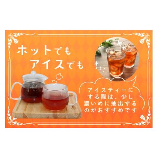 ふるさと納税 紅茶 茶葉・ティーバッグ 愛知県 設楽町 無農薬 田峯紅茶 5袋セット 紅茶 お茶 アイスティー ホットティー 茶 -022_3