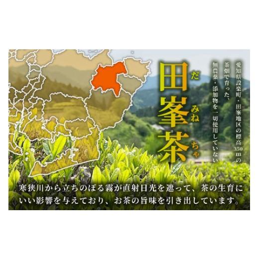 ふるさと納税 紅茶 茶葉・ティーバッグ 愛知県 設楽町 無農薬 田峯紅茶 5袋セット 紅茶 お茶 アイスティー ホットティー 茶 -022_4