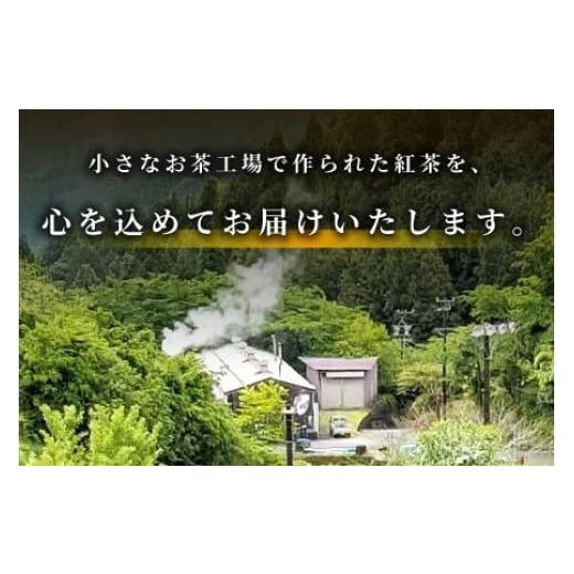 ふるさと納税 紅茶 茶葉・ティーバッグ 愛知県 設楽町 無農薬 田峯紅茶 5袋セット 紅茶 お茶 アイスティー ホットティー 茶 -022_5