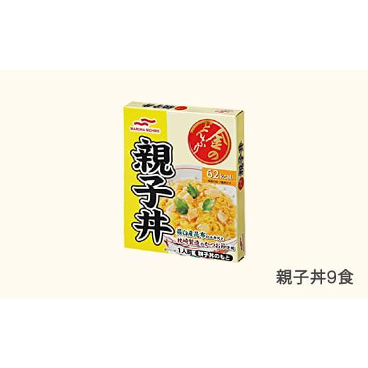ふるさと納税 加工品等 レトルト 山形県 村山市 マルハニチロ 金のどんぶり レトルト 親子丼 9個 ku-rtoyx9 親子丼 9個