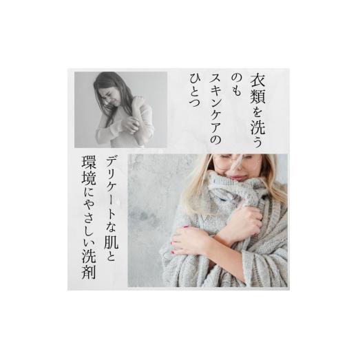 ふるさと納税 雑貨・日用品 山口県 宇部市 洗剤 bambina 竹ふわり 竹炭ミネラル 洗濯洗剤 1000ml×２本 ポンプ付き 定期便（6カ月お届け） 洗剤 せんざい セン…の画像