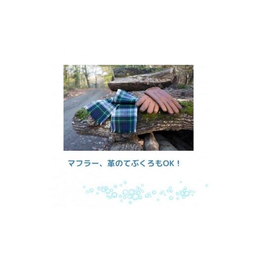 ふるさと納税 雑貨・日用品 山口県 宇部市 洗剤 bambina 竹ふわり 竹炭ミネラル 洗濯洗剤 1000ml×２本 ポンプ付き 定期便（6カ月お届け） 洗剤 せんざい セン…の画像