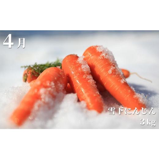 ふるさと納税 新潟県 津南町 津南町の特産品定期便セットＥ　全6回発送（2024年偶数月お届け） 新潟県 ふるさと納税 津南町の特産品定期便セットＥ　全6回発送（2024年偶数月お届け） 津南町