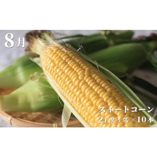 ふるさと納税 新潟県 津南町 津南町の特産品定期便セットＥ　全6回発送（2024年偶数月お届け） 新潟県 ふるさと納税 津南町の特産品定期便セットＥ　全6回発送（2024年偶数月お届け） 津南町