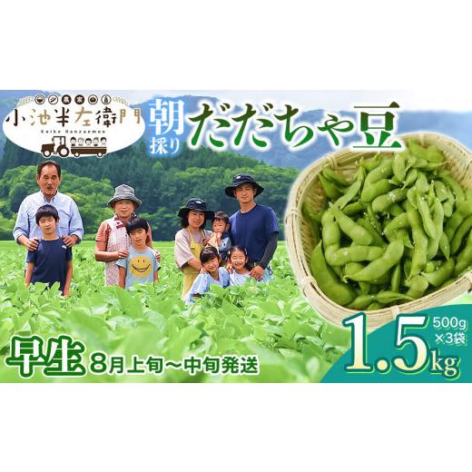 ふるさと納税 豆類 枝豆 山形県 鶴岡市 令和8年産先行予約 朝採りだだちゃ豆 早生 1.5kg (500g×3袋) 枝豆 小池半左衛門 | だだちゃ豆 枝豆 えだまめ 豆 1.…