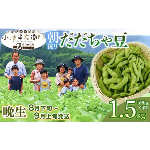 ふるさと納税 豆類 枝豆 山形県 鶴岡市 令和8年産先行予約 朝採りだだちゃ豆 晩生 1.5kg (500g×3袋) 枝豆 小池半左衛門 | だだちゃ豆 枝豆 えだまめ 豆 1.…