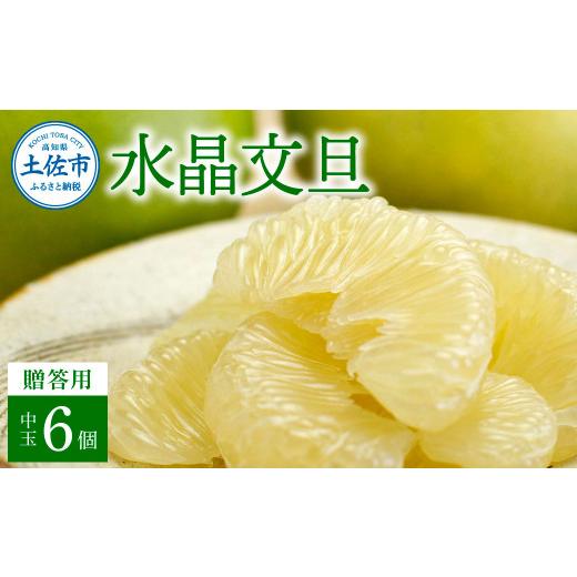 ふるさと納税 みかん・柑橘類 高知県 土佐市 先行予約 高知県産水晶文旦 特選ご贈答用 中玉6個入り[2026年10月上旬〜11月上旬頃発送] / ぶんたん ブンタン…