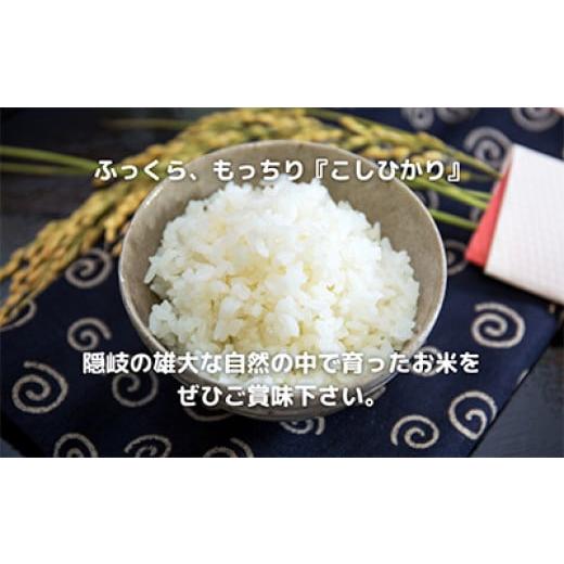 ふるさと納税 米 コシヒカリ 島根県 隠岐の島町 1705　 令和7年産 隠岐産 こしひかり 玄米 10kg（5kg×2袋）_3