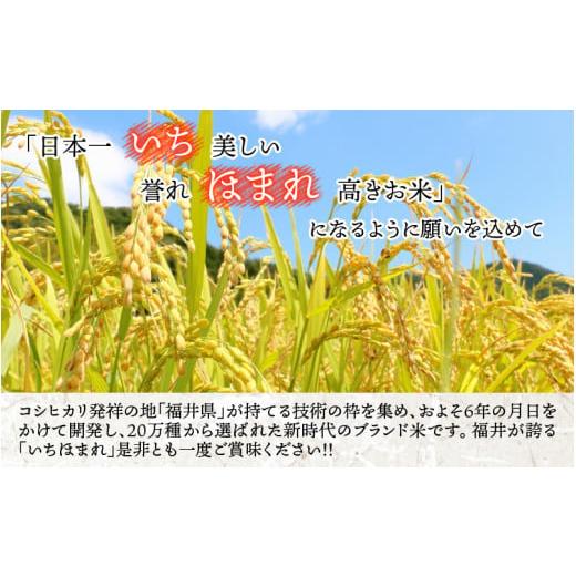 ふるさと納税 米 福井県 永平寺町  3ヶ月連続お届け 令和7年度産 福井県産新ブランド米 いちほまれ 5kg×3ヶ月（計15kg） C-002031 ／ 定期便 3回 3ヵ月 3ヶ月…の画像