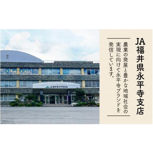 ふるさと納税 米 福井県 永平寺町  3ヶ月連続お届け 令和7年度産 福井県産新ブランド米 いちほまれ 5kg×3ヶ月（計15kg） C-002031 ／ 定期便 3回 3ヵ月 3ヶ月…の画像
