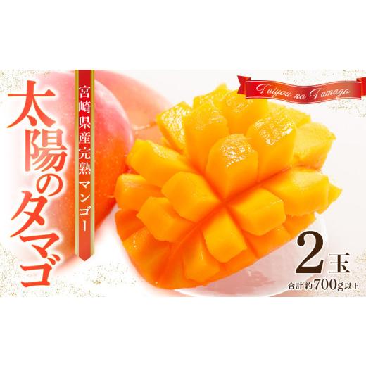 ふるさと納税 マンゴー 宮崎県 宮崎市 [2026年発送先行予約] 数量・期間限定 宮崎県産 太陽のタマゴ 2玉_M184-013 49,000円 2玉