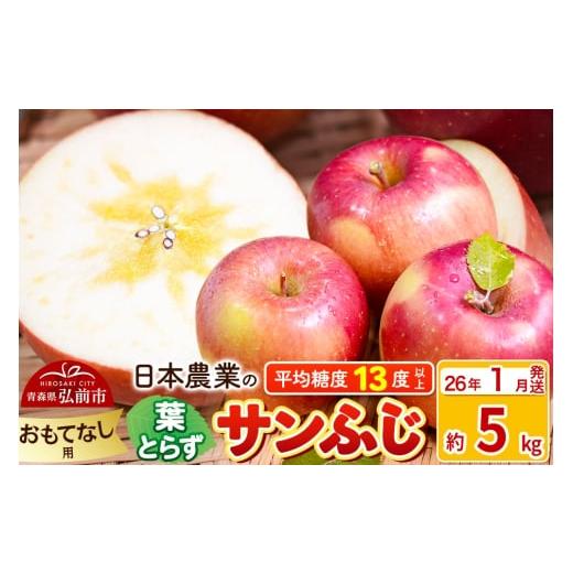 ふるさと納税 りんご 青森県 弘前市 26年1月発送 りんご 平均糖度13度以上 葉とらずサンふじ 約5kg おもてなし用 青森 果物 フルーツ 林檎 リンゴ くだもの