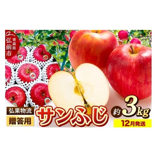 ふるさと納税 りんご 青森県 弘前市 25年12月発送 りんご 贈答用 サンふじ 約3kg