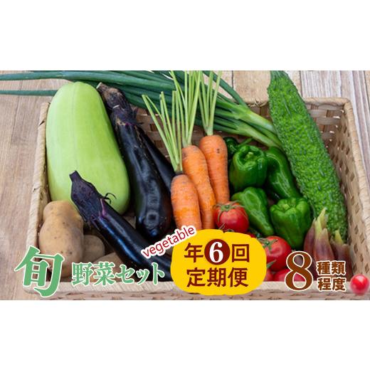 ふるさと納税 高知県 須崎市 定期便 年6回 野菜 旬 セット ( お楽しみ 約 8品目 やさい セット 旬 春 夏 秋 冬 採れたて 新鮮 農家 直送 詰め合わせ 国産 野菜…