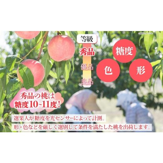ふるさと納税 もも 山梨県 笛吹市  2026年発送 先行予約 桃 秀品 1.5kg 糖度10％以上 クール便配送 177-004 | もも 桃 発送 山梨 笛吹市 糖度センサー 高糖度…の画像