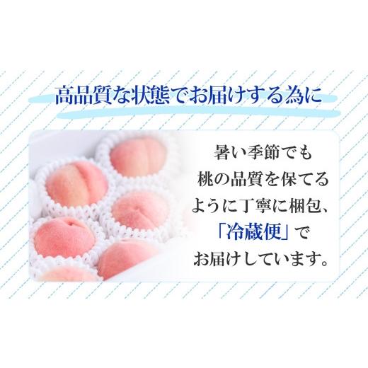 ふるさと納税 もも 山梨県 笛吹市  2026年発送 先行予約 桃 秀品 1.5kg 糖度10％以上 クール便配送 177-004 | もも 桃 発送 山梨 笛吹市 糖度センサー 高糖度…の画像