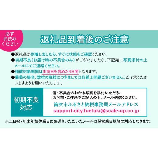 ふるさと納税 もも 山梨県 笛吹市  2026年発送 先行予約 桃 秀品 1.5kg 糖度10％以上 クール便配送 177-004 | もも 桃 発送 山梨 笛吹市 糖度センサー 高糖度…の画像