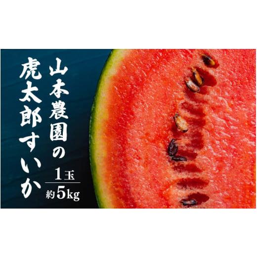 ふるさと納税 スイカ 福井県 越前町 先行予約 甘味が強い 虎太郎すいか 約5kg 1玉 数量限定 産地直送 2026年7月下旬より順次発送予定 果物 フルーツ スイカ e…