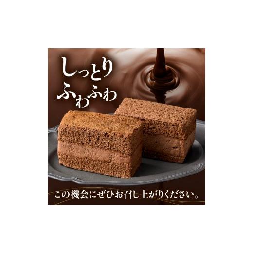 ふるさと納税 ケーキ・カステラ チョコレートケーキ 宮崎県 小林市