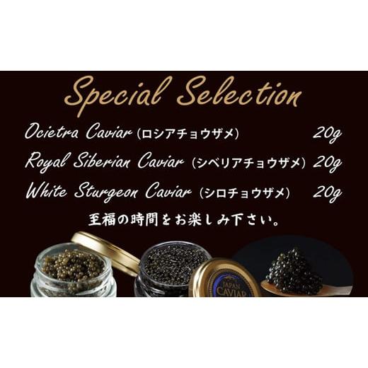 ふるさと納税 魚貝類 キャビア 宮崎県 小林市 純国産キャビア 皇帝の涙スペシャルセレクション 60g 国産 チョウザメ キャビア オシェトラ 食べ比べ