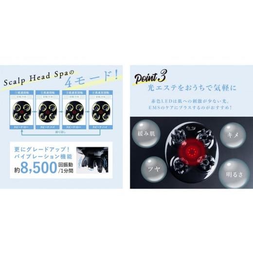 ふるさと納税 美容 茨城県 つくばみらい市 WAVEWAVE EMSスカルプヘッドスパ ヘッドスパ 自宅 ヘッドスパブラシ 頭皮ブラシ 頭皮ケア 電動 誕生日 プレゼント …の画像