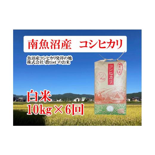 【売り切りお値下げ】 ふるさと納税 新潟県 南魚沼市 【定期便 南魚沼産】 コシヒカリ 白米10kg×6回 【2084892558】(73440円)