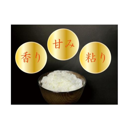 【売り切りお値下げ】 ふるさと納税 新潟県 南魚沼市 【定期便 南魚沼産】 コシヒカリ 白米10kg×6回 【2084892558】(73440円)