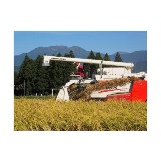 【売り切りお値下げ】 ふるさと納税 新潟県 南魚沼市 【定期便 南魚沼産】 コシヒカリ 白米10kg×6回 【2084892558】(73440円)