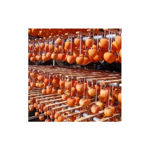 ふるさと納税 山梨県 山梨市 甲州名産「枯露柿」L〜LLサイズ16個入り【1361416】 甲州名産 枯露柿