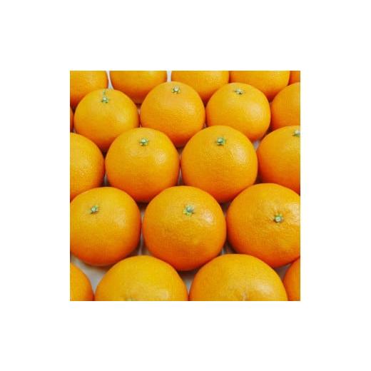 ふるさと納税 果物類 みかん 愛媛県 松山市 訳あり あいか 愛果 28号 約4kg みかん 柑橘 訳あり 不揃い 愛媛県 松山市