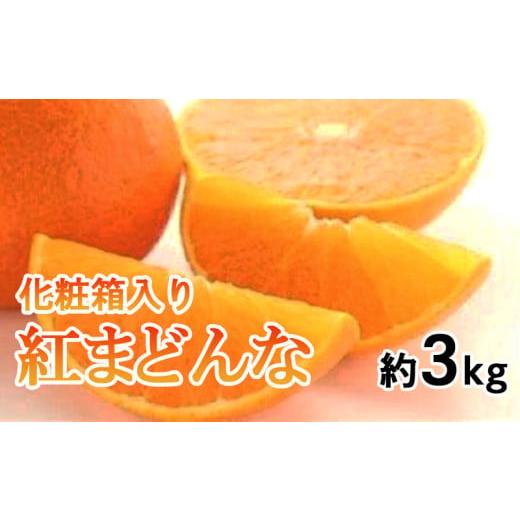 ふるさと納税 果物類 みかん 愛媛県 松山市 先行予約 化粧箱入り 紅まどんな 約3kg (L〜4L) みかん 紅まどんな 柑橘 紅まどんな みかん 紅まどんな 高級柑橘 …
