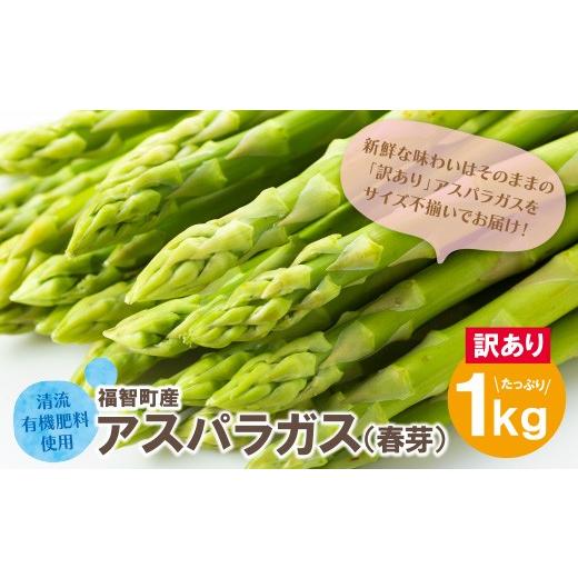 ふるさと納税 野菜類 アスパラガス 福岡県 福智町 W18-21 訳あり 清流・有機肥料使用 アスパラガス(春芽) 1kg 朝採り 旬 旬野菜 新鮮 アスパラ アスパラガス …