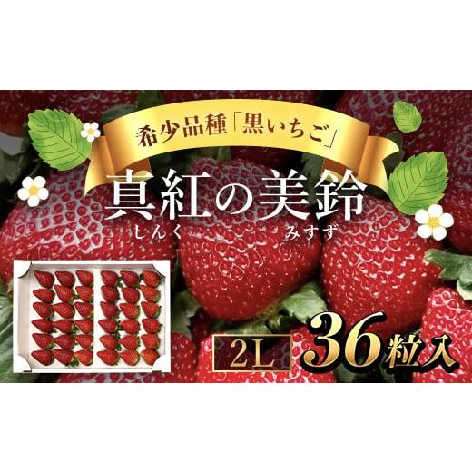 ふるさと納税 千葉県 山武市 [先行予約/2024年12月配送開始]希少品種 黒いちご 真紅の美鈴 2L36粒入り